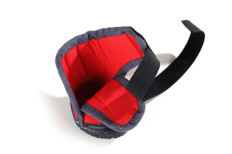 dog hiking boots