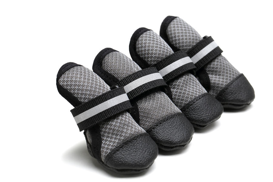 soft shell dog boots
