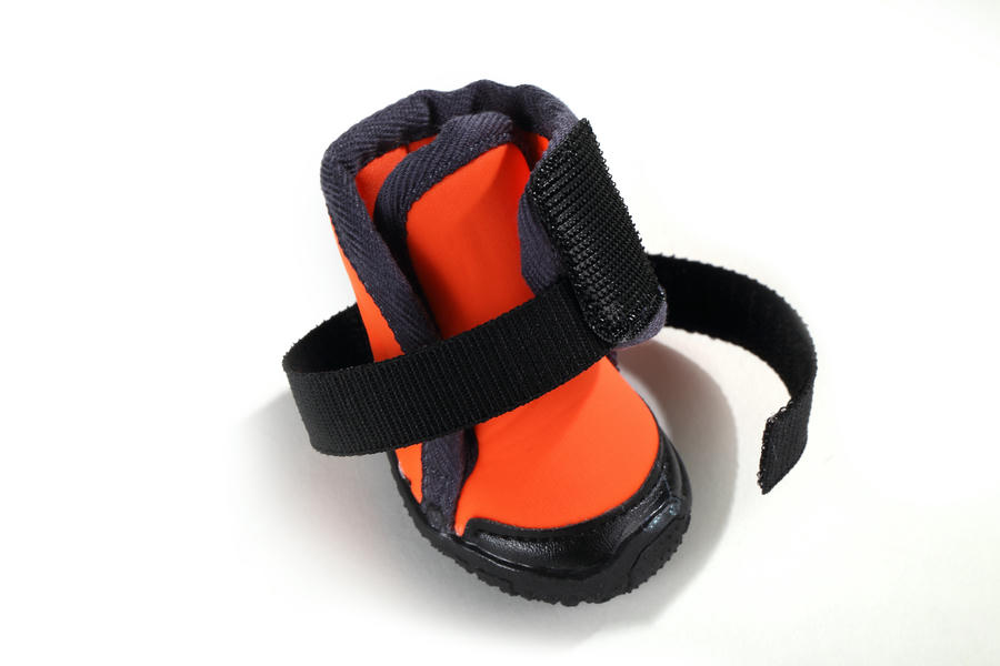 dog hiking boots