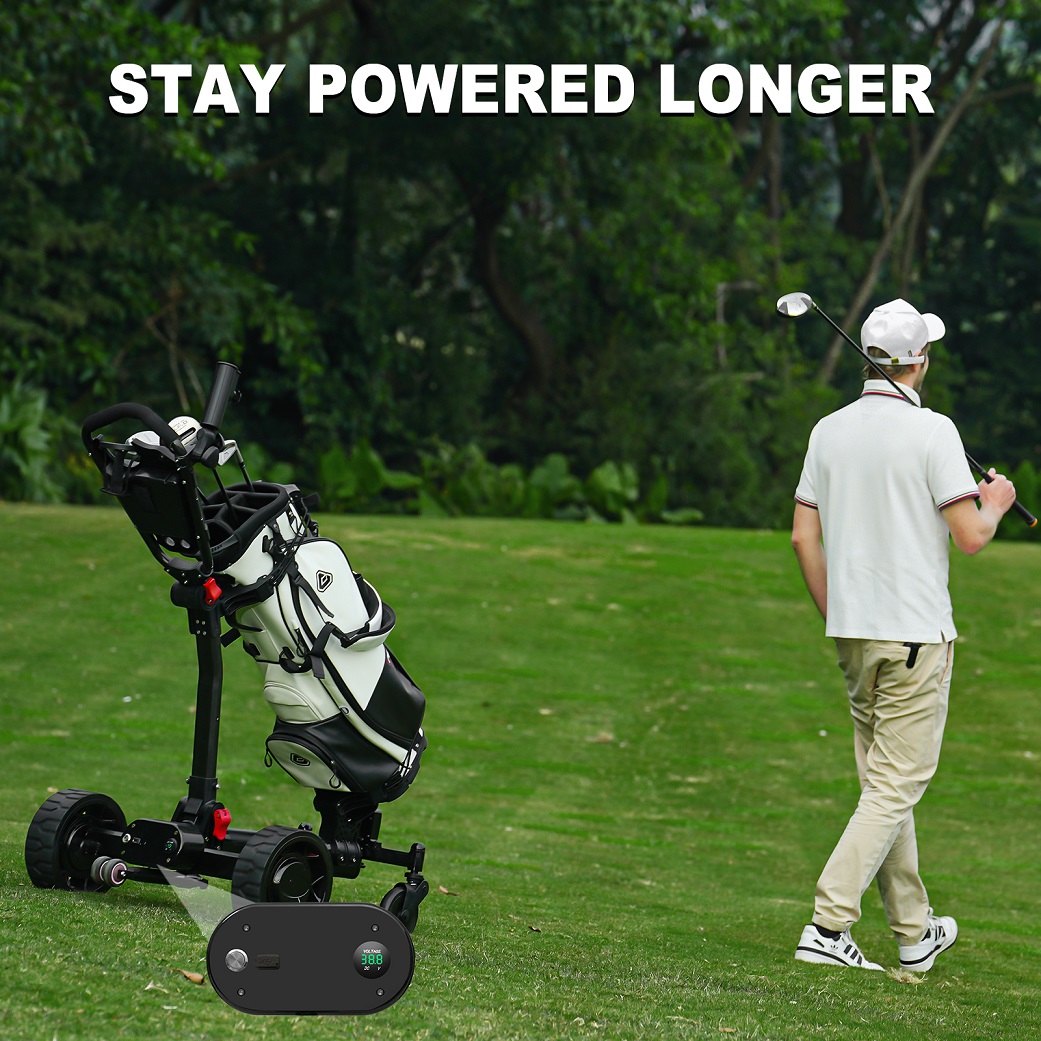 Dual motor golf push cart