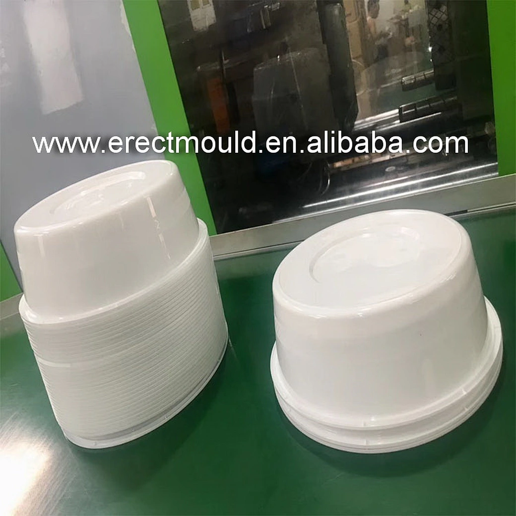 food box mold