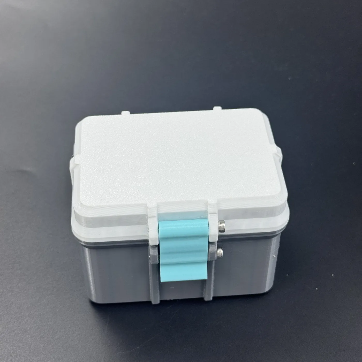front view of closed multi-size vial storage box showing strap latch alignment